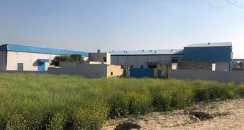 Commercial Land 1210 Sq.Ft. For Resale In Sector 35 Bahadurgarh 5842102