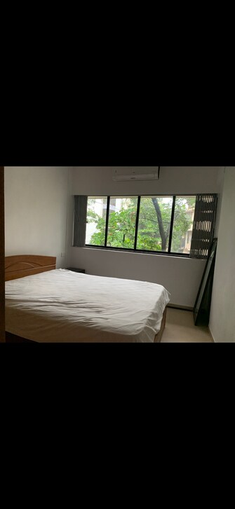 1 BHK Apartment For Rent in Diago Apartment Pali Hill Mumbai  5842736