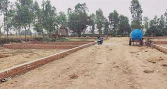  Plot For Resale in Kisan Path Lucknow 5843945