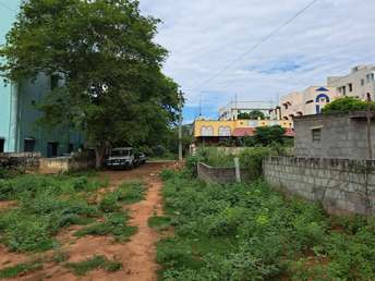 Plot For Resale in Vidya Nagar Colony Tirupati  5844313