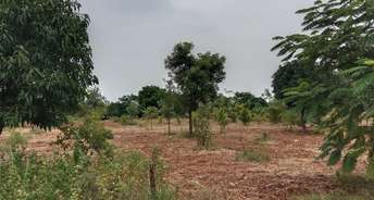  Plot For Resale in Kukatpally Hyderabad 5844546