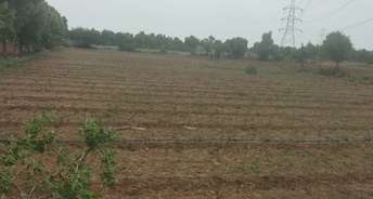 Commercial Land 1500 Sq.Yd. For Resale In Hebatpur Ahmedabad 5846997