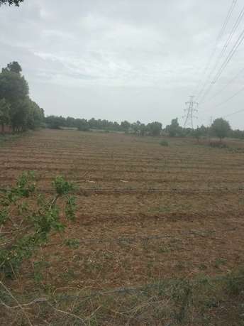 Commercial Land 1071 Sq.Yd. For Resale In Shilaj Ahmedabad 5847026