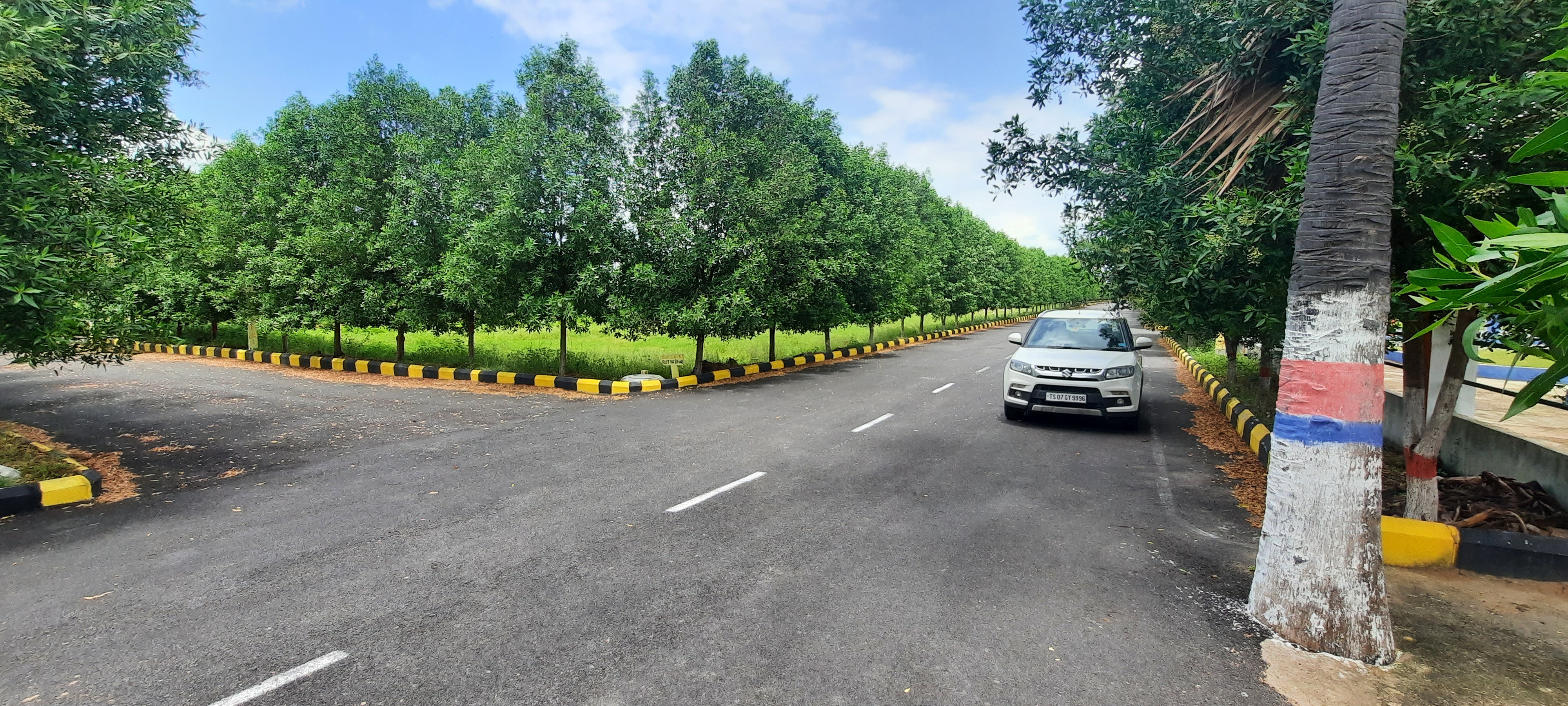 1724+ Properties for Sale Near Capal Bone Setting Centre Tarnaka, Tarnaka Hyderabad