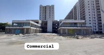 Commercial Shop 40 Sq.Yd. For Resale In Sector 143 Faridabad 5847970