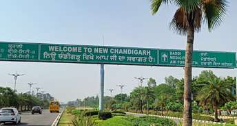  Plot For Resale in South Mullanpur Chandigarh 5849524