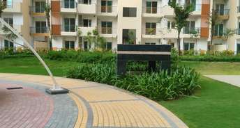 2 BHK Apartment For Resale in Mahagun Mywoods Noida Ext Sector 16c Greater Noida 5851047