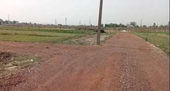  Plot For Resale in Sultanpur Gurgaon 5851781