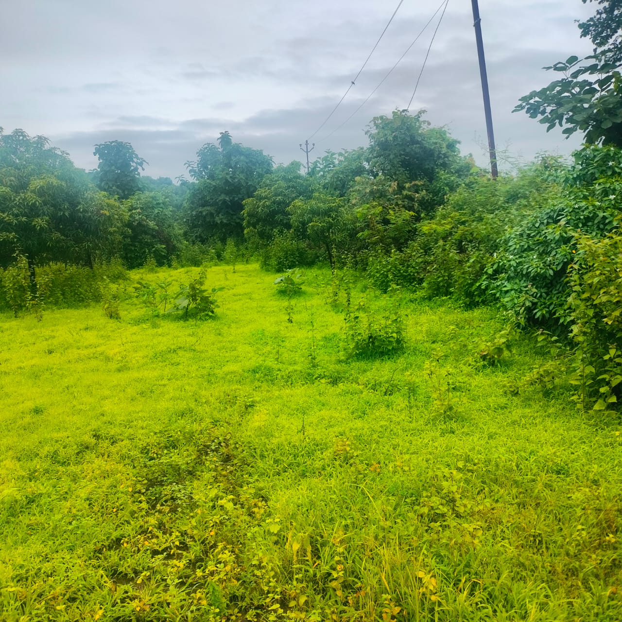Resale Commercial Land 18 Acre in Thane West Thane 5852668