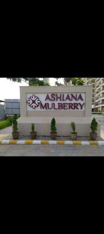 2 BHK Apartment For Resale in Ashiana Mulberry Sohna Sector 2 Gurgaon  5853044