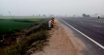 Commercial Land 7 Acre For Resale In Bholi Panipat 5856554