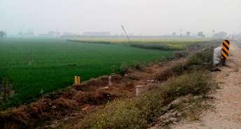 Commercial Land 2 Acre For Resale In Dahar Panipat 5860227