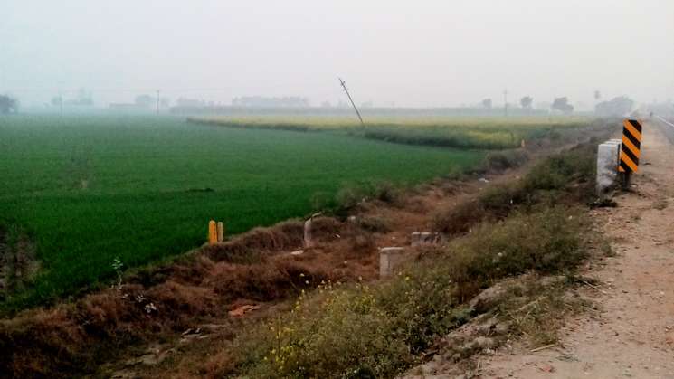 Commercial Land 2 Acre in Dahar Panipat