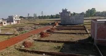  Plot For Resale in Molarband Extension Faridabad 5860506