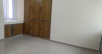 2 BHK Apartment For Resale in Puja Apartments Ip Extension Delhi 5861237