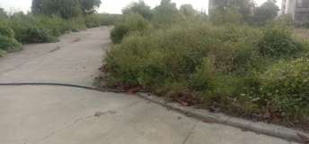  Plot For Resale in Mullanpur Chandigarh 5861416