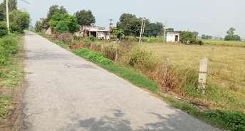 Commercial Land 5 Acre For Resale In Diwana Panipat 5862597