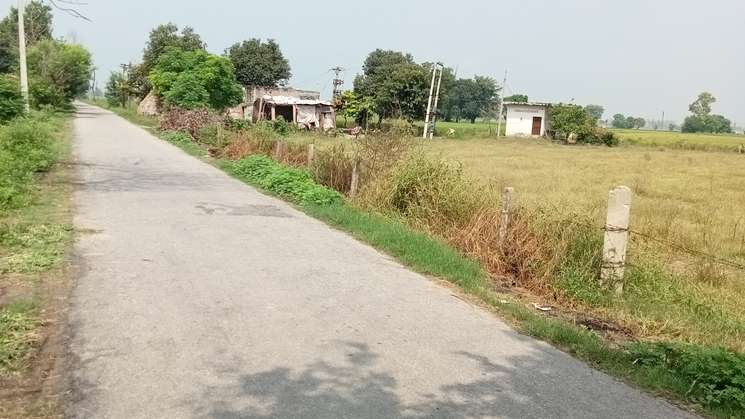 Commercial Land 5 Acre in Diwana Panipat