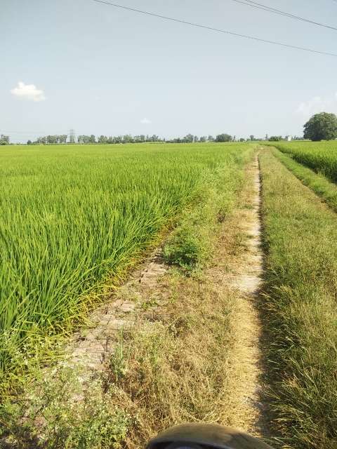 Commercial Land 22 Acre in Ganjbar Panipat