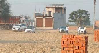  Plot For Resale in Sector 90 Faridabad 5865026