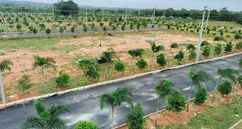 Commercial Land 125 Sq.Yd. For Resale In Shadnagar Hyderabad 5865167