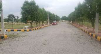  Plot For Resale in Narapally Hyderabad 5869088