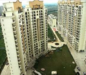 3.5 BHK Penthouse For Resale in The Retreat Gurgaon Sector 41 Gurgaon 5869483