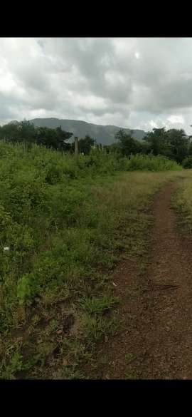 Commercial Land 3 Acre For Resale in Palghar Mumbai  5869967