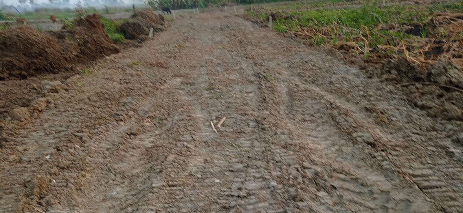 Resale 3600 Sq.Ft. Plot in Diamond City West Kolkata 5871401