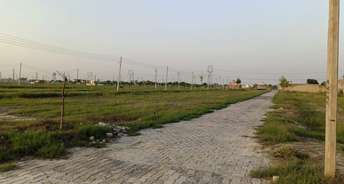  Plot For Resale in Gn Sector 27 Greater Noida 5874265
