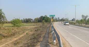  Plot For Resale in Kisan Path Lucknow 5876529