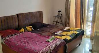 3 BHK Penthouse For Resale in Aditya Mega City Vaibhav Khand Ghaziabad 5879499