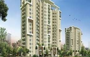 3 BHK Apartment For Resale in Emaar Palm Gardens Sector 83 Gurgaon 5879963