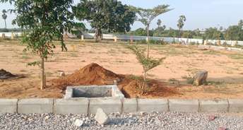  Plot For Resale in New Malakpet Hyderabad 5881960