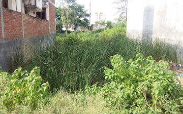 Plot For Sale in Lahartara
