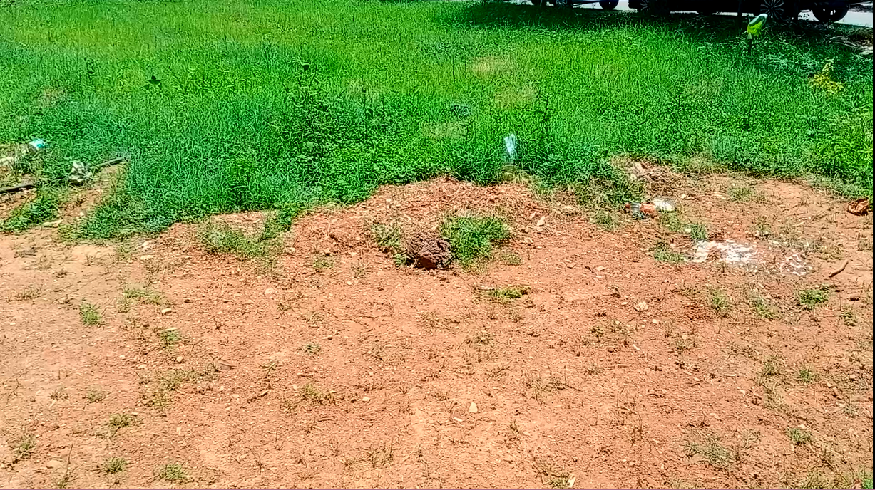 Resale 2550 Sq.Ft. Plot in Jakkur Bangalore 5884866