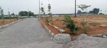  Plot For Resale in Central Zone Hyderabad 5885483