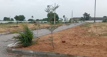  Plot For Resale in Chilkur Hyderabad 5885516