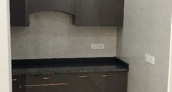 2 BHK Builder Floor For Resale in Mehrauli RWA Mehrauli Delhi 5885739