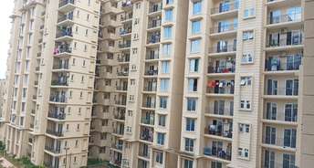 2 BHK Apartment For Resale in Sector 36 Gurgaon 5885935