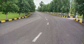  Plot For Resale in Boduppal Hyderabad 5886201