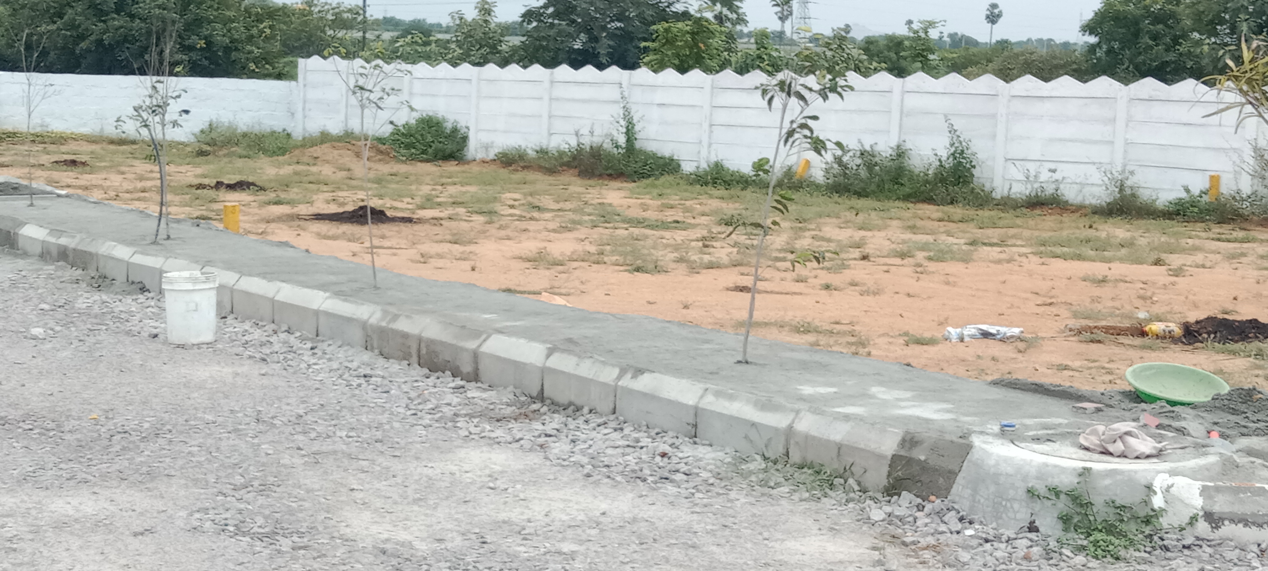  Plot For Resale in Sri Nagar Colony Hyderabad 5887233