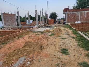  Plot For Resale in Noida Ext Sector 12 Greater Noida 5887582