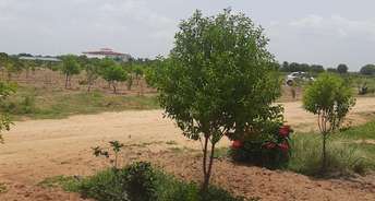  Plot For Resale in Attapur Hyderabad 5889468