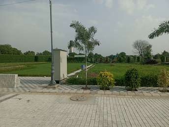  Plot For Resale in Sector 78 Faridabad 5889496