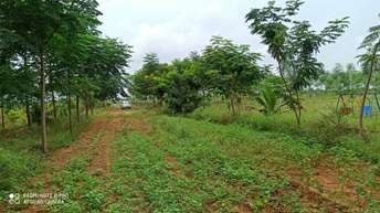  Plot For Resale in Nagole Hyderabad 5889501