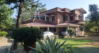 4 BHK Villa For Resale in Gumaniwala Dehradun 5889666