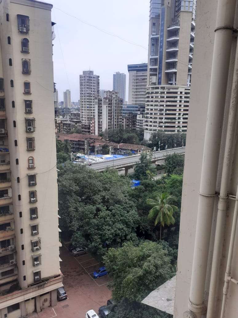 1 BHK Apartment For Rent in Priyadarshini Mahila CHS Dadar West Mumbai 5889818