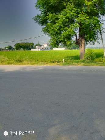 Commercial Land 1200 Sq.Yd. For Resale in LudhianA-Chandigarh Hwy Mohali  5890577