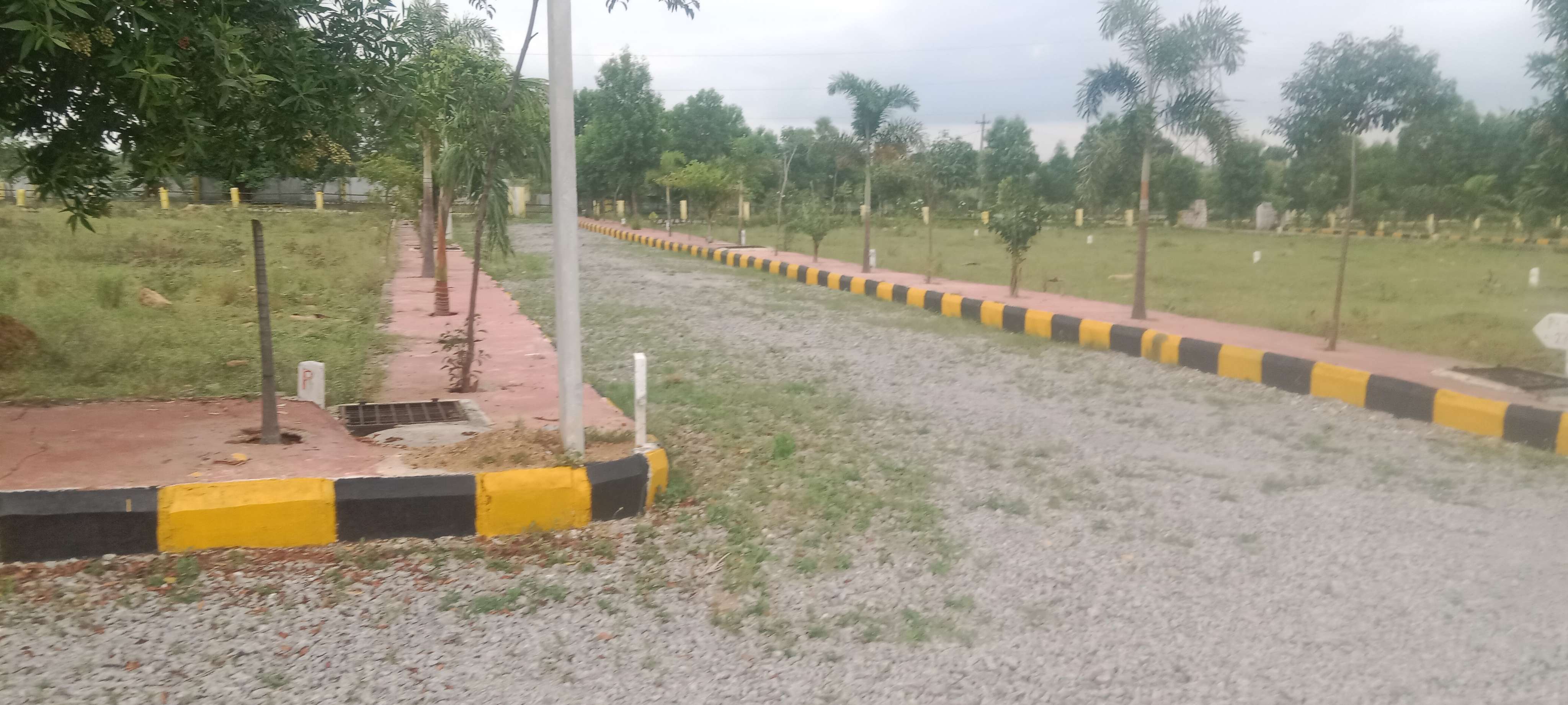  Plot For Resale in Dasarlapalle Hyderabad 5894026